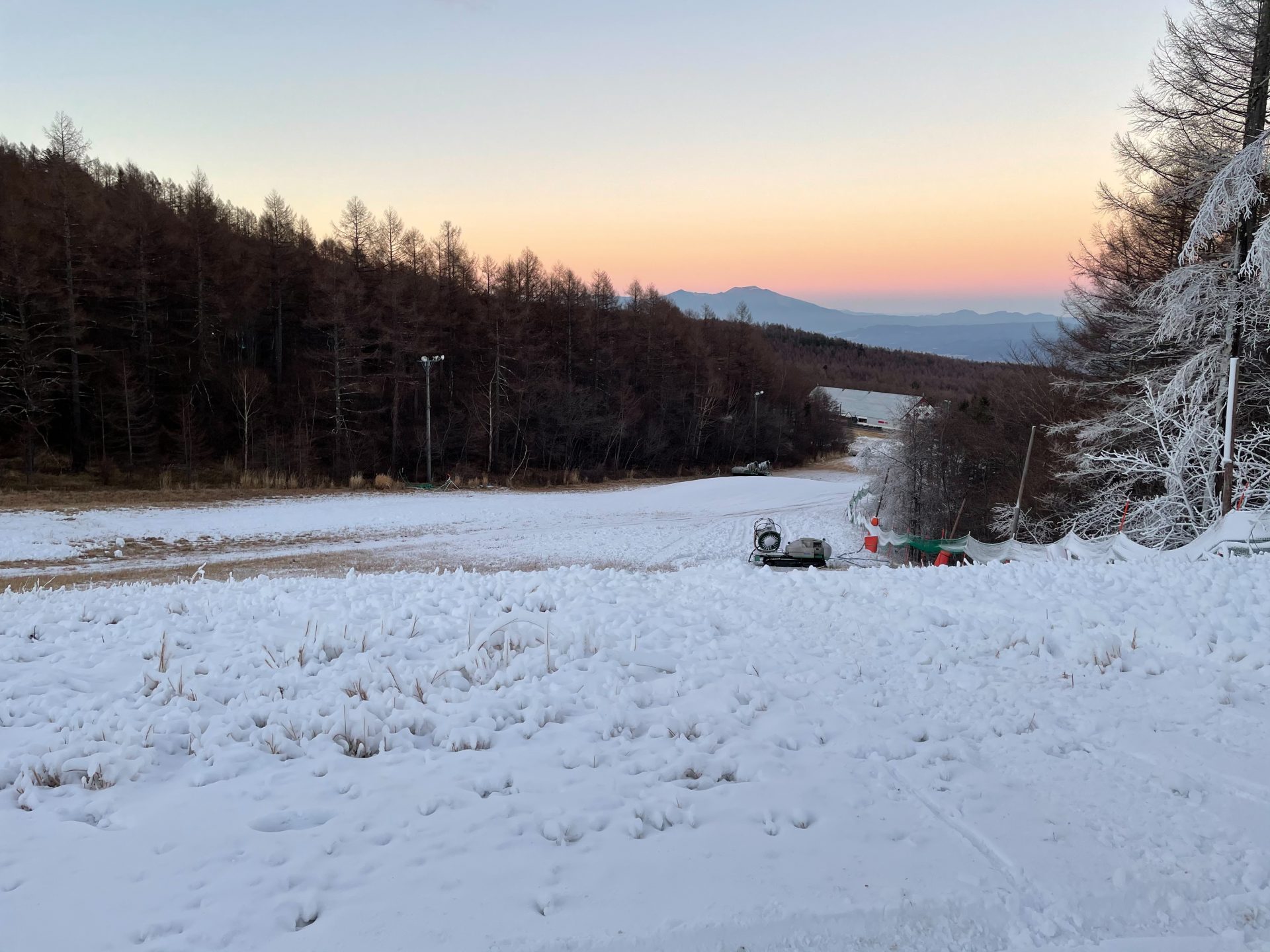本日オープンです。