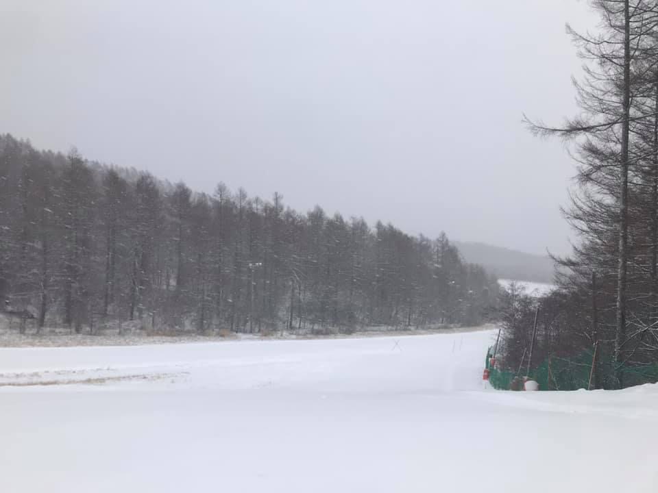 雪が降っています。